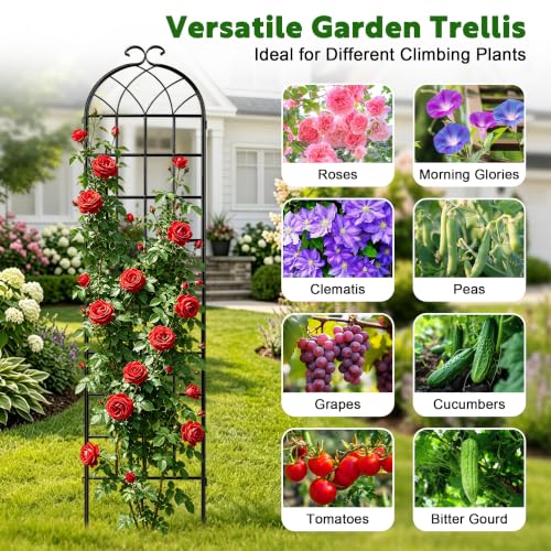 82.7 x 80in Rustic Iron Arch Decoration Garden Trellis with Black Metal Coating