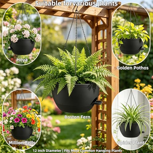 12" Self Watering Hanging Planters with Chains (2 Count)