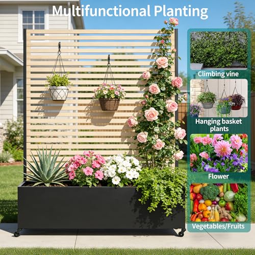 Metal Planter Box with Trellis Privacy Screen