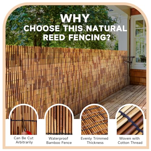 Reed Fencing Rolls Natural Bamboo Fence 5.5 Feet High Privacy Screen Curtains Fence for Balcony Patio Garden Backyard Shades Outdoor 5.5FT X 16.4FT（Brown） (90.2 Sq Ft)