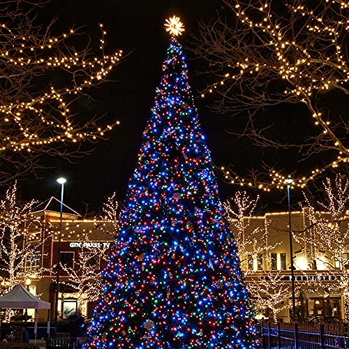 66ft Christmas Decorative Mini Lights (66 Foot)