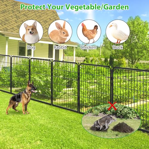 Decorative Black Metal Fencing Garden Fence with Gate
