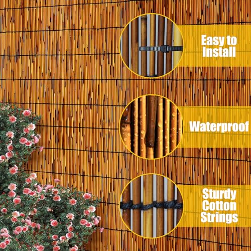 Natural Reed Fencing 6FT X 16.4FT Reed Fence 6FT High Balcony Reed Fence Privacy Reed Screen for Outdoor Backyard Patio