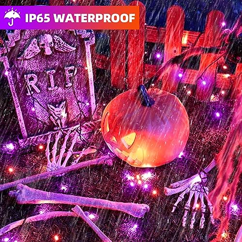 Halloween Lights (105 Foot)