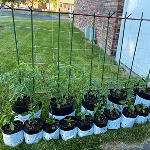 Garden Plant Stakes (25 Count)