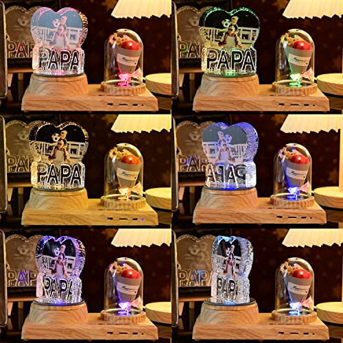 PAPA 3D Crystal Photo