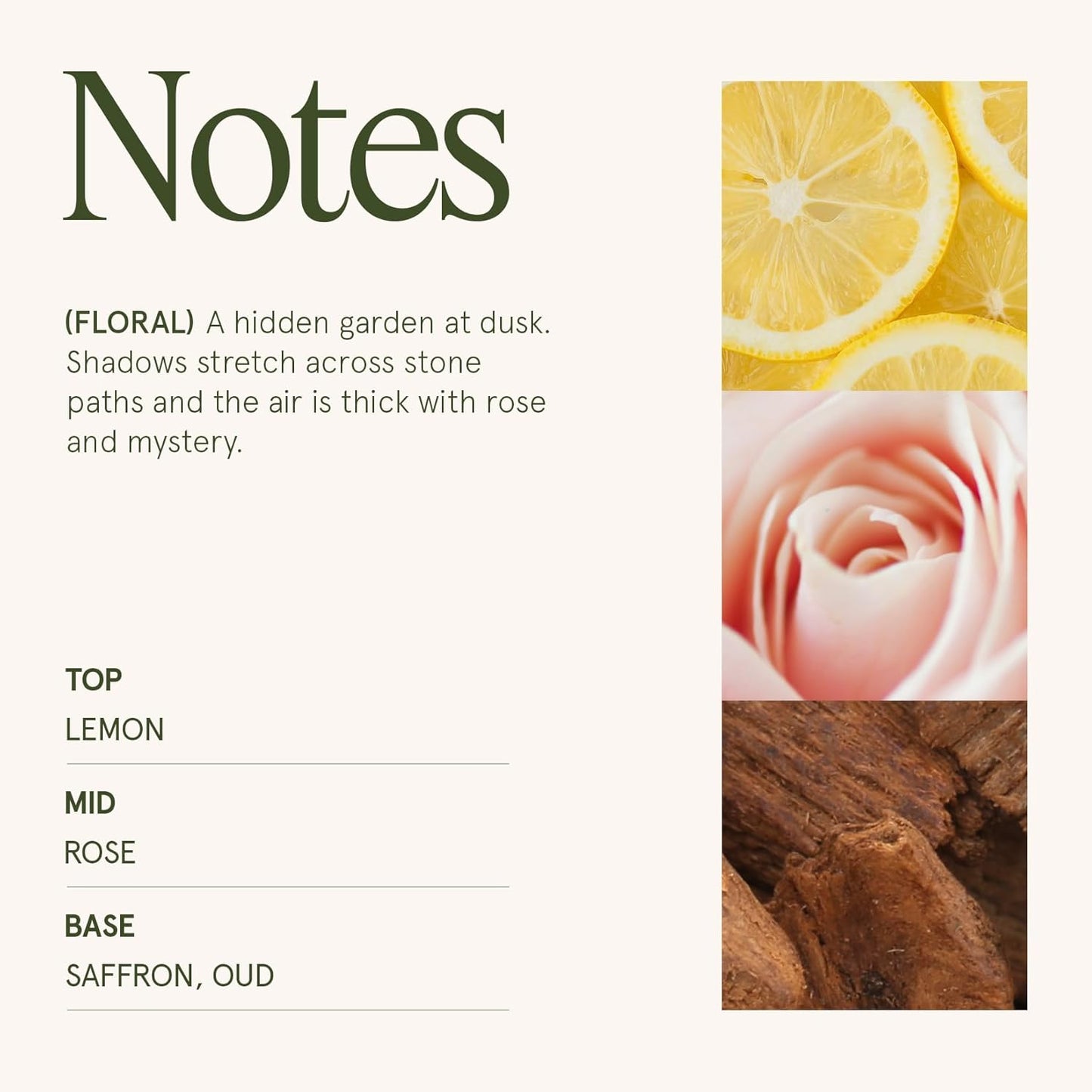 LA JOLIE MUSE Rose Noir & Oud Scented Candle – Lemon, Rose & Oud |19 oz Large Wooden Wick Candle | Natural Soy Wax | 90 Hours Clean Burn | Gift-Ready for Hosts & Gatherings | Elegant Home Décor - NestledHome