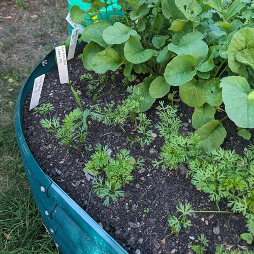4 Pack 8x3x1FT Galvanized Raised Garden Bed Large Metal Planter Box Kit Elevated Raised Garden Planters for Outdoor Plants (4 Count)