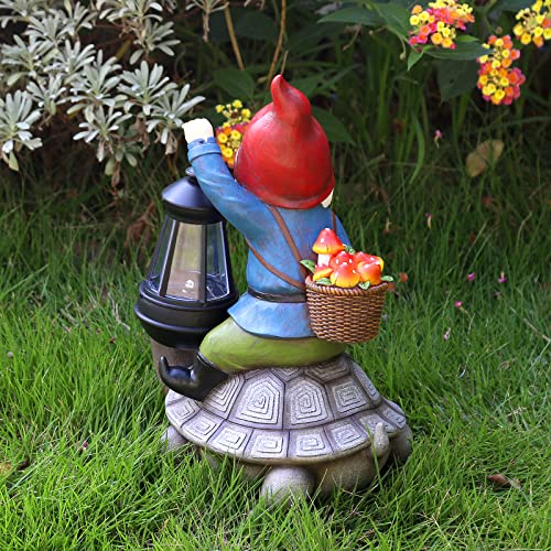 Gnome and Turtle Garden Decor
