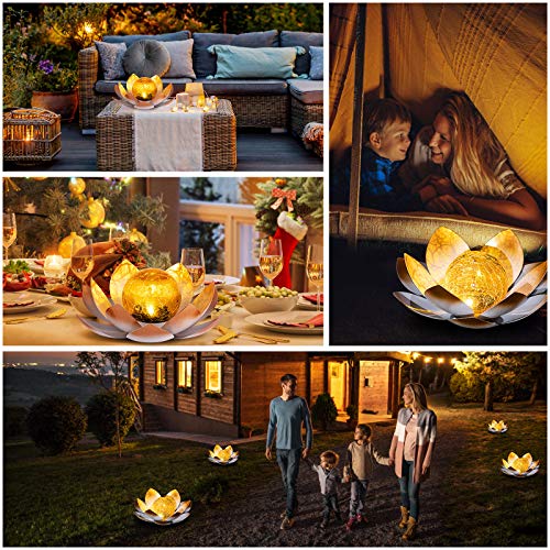 Garden Solar Lights Outdoor (2 Count)