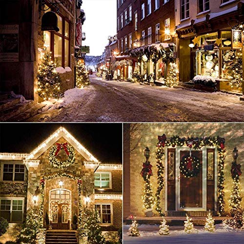 Christmas Lights (26 Foot)
