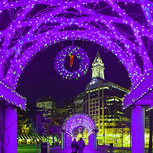 66ft Halloween Decorative Mini Lights (66 Foot)