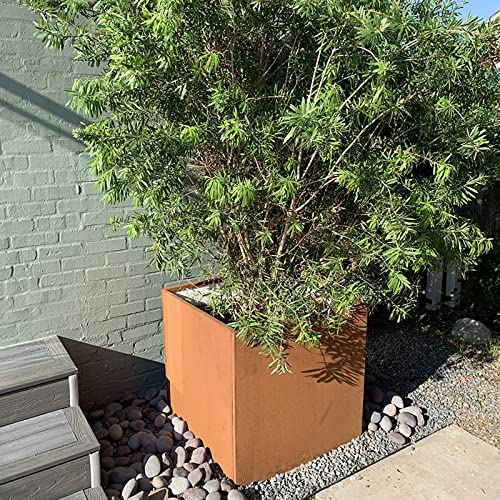 Corten Steel Planter Box 24 Inch