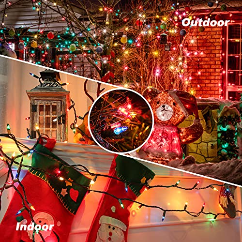 Multicolor Christmas Lights (25 Foot)