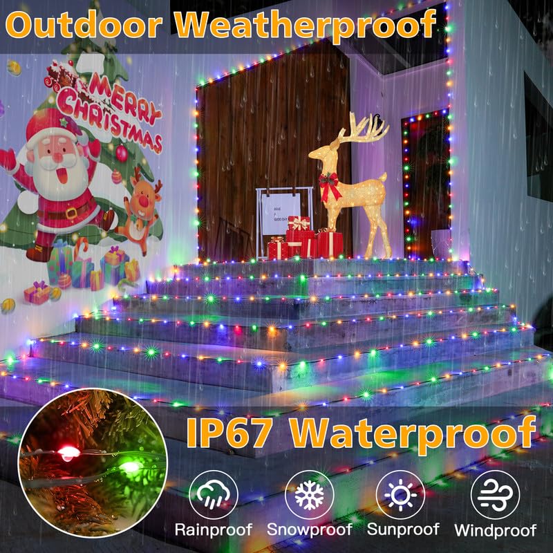 Christmas Lights Outdoor