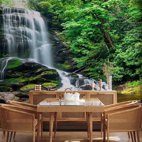 Peel and Stick Wallpaper Peel and Stick Waterfall 212x98 Inch (11 Count)
