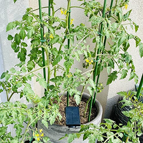 Garden Stakes (25 Count)