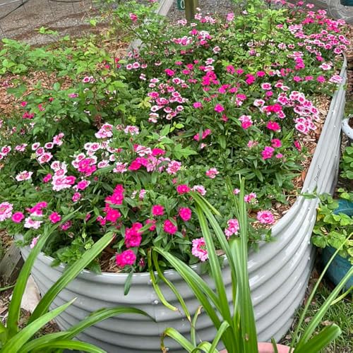 8x3x2ft Galvanized Raised Garden Bed