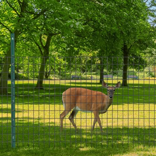 Welded Wire Fence (150 Sq Ft)