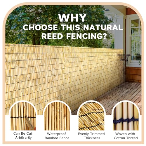 Reed Fencing Rolls Natural Bamboo Fence 4 Feet High Privacy Screen Curtains Fence for Balcony Patio Garden Backyard Shades Outdoor 4FT X 16.4FT （Yellow） (65.6 Sq Ft)