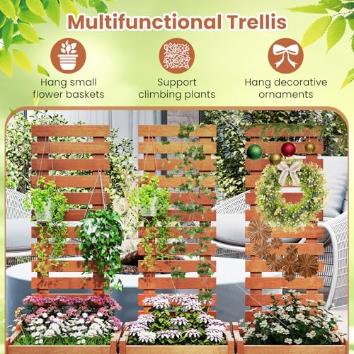 Raised Garden Bed with Trellis & Open