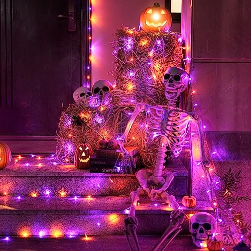 600 LED Halloween Lights Outdoor (168 Foot)