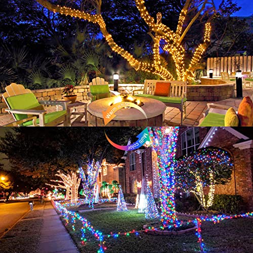 100 LED Warm White & Multicolor Color Changing String Lights (33 Foot)