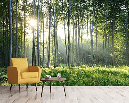 Sunshine Forest Mural Wallpaper Landscape Tree (56.25 Sq Ft)