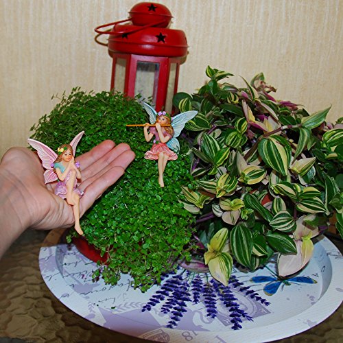 Fairy Garden Figurines (2 Count)
