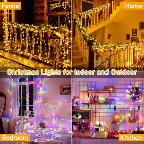 Christmas Lights (66 Foot)