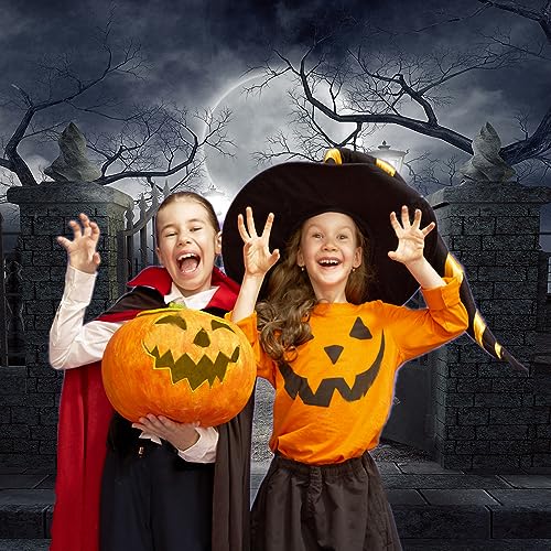 8x8ft Halloween Backdrop Background Nightmare Before Christmas Backdrop for Photography Zombie Themed Photo Booth Party Decorations CY034