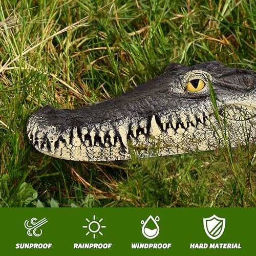 Floating Alligator Head