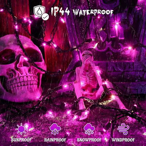 Halloween Purple Lights (50 Count)