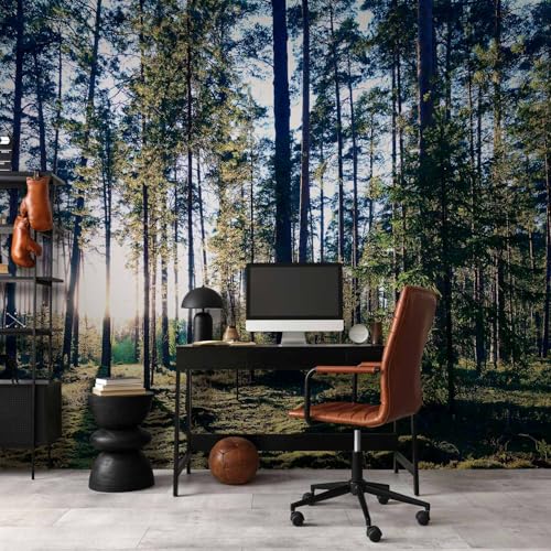 Premium Wall Mural Wallpaper (11 Count)