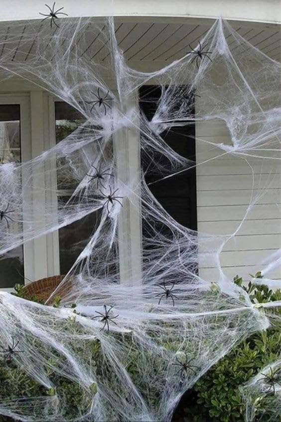 210 Pcs Halloween Spider Decorations Indoor (210 Count)