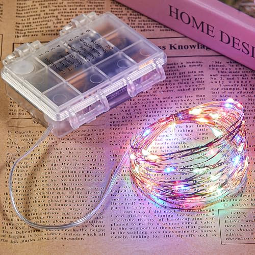 2 Pack 32.8 Ft. Battery Operated Outdoor String Lights with Remote & Timer (2 Count)