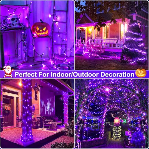 Purple Halloween Lights Outdoor