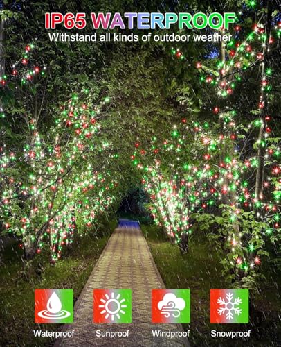 80FT 240 LED Christmas Lights Outdoor