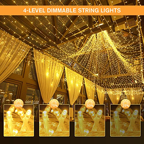 500 LED Color Changing Christmas Lights (163 Foot)