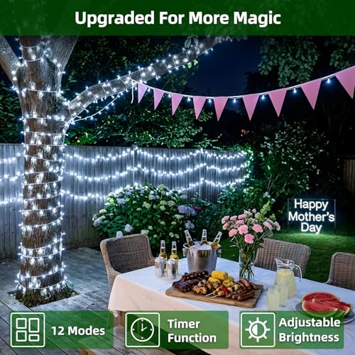 750 LED 240FT Christmas String Lights (240 Foot)