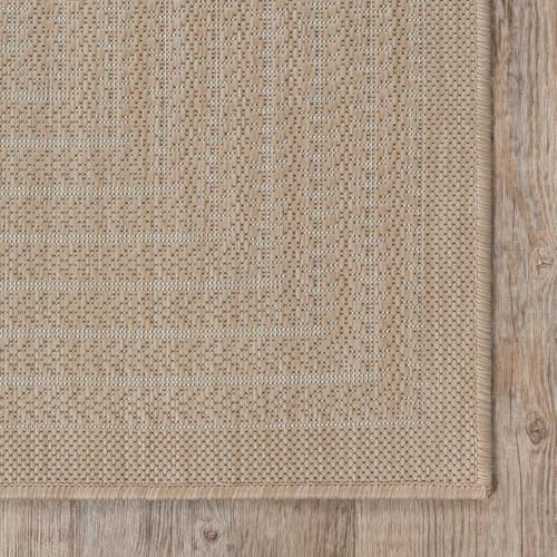 Outdoor Indoor Area Rug