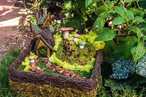 50310) Fairy Garden Kit, Mixed Mosses, 4 oz., Multicolor