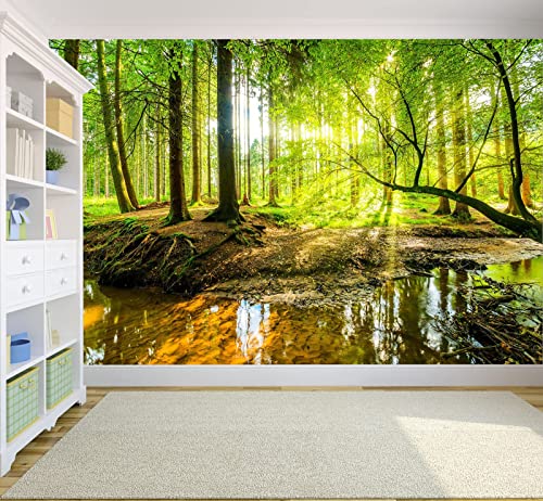 Wall Mural Fall Forest Stream Wallpaper