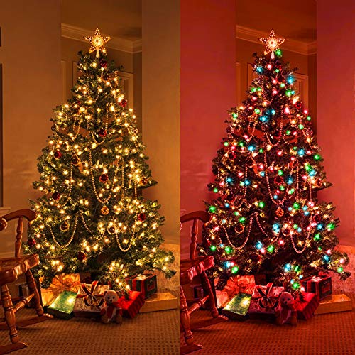Color Chang Christmas Lights