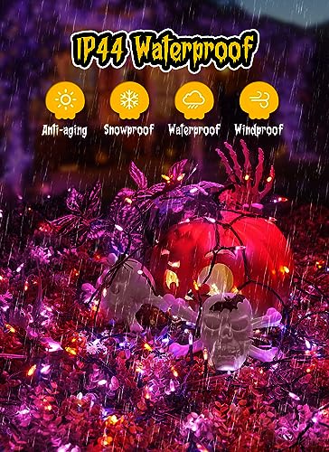 Halloween Orange Purple Outdoor Lights 17.8 Feet 50 LED Christmas Lights (2 Count)
