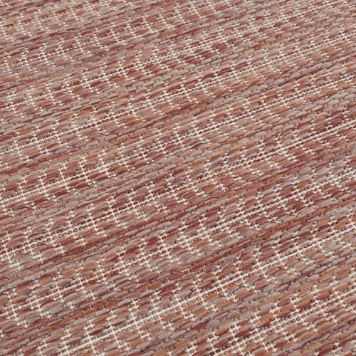 Outdoor Indoor Area Rug
