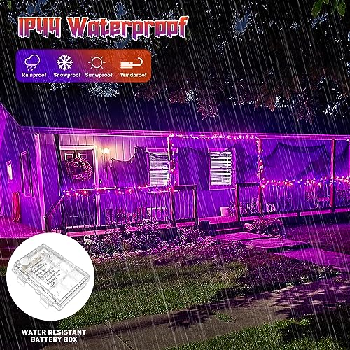 2 Pack Orange Purple Battery Operated Halloween Lights (100 Count)