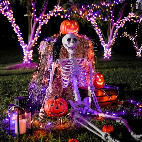 163 FT 500 LED Orange and Purple Halloween String Lights Indoor (163 Foot)