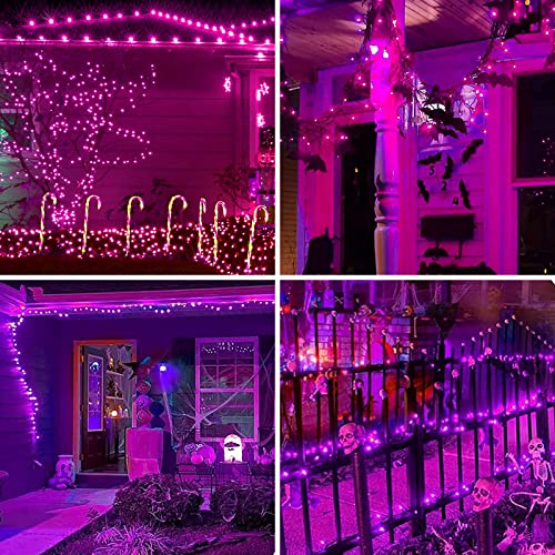 Brown Wire Purple 100 Incandescent Bulb Mini String Lights for Indoor Halloween Tree Home Garland Birthday Wedding Party Festival Decoration (100 Count)