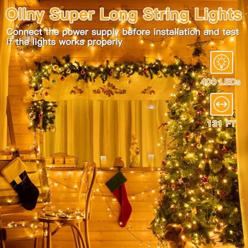 Christmas Lights (131 Foot)